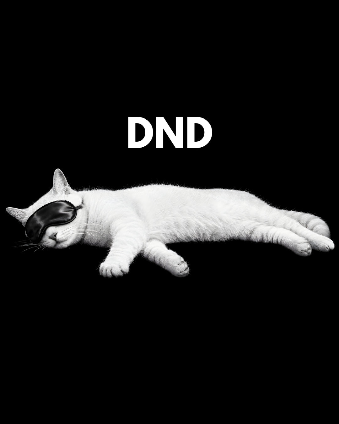 White cat with black mask lying down on a black background with 'DND' text.
