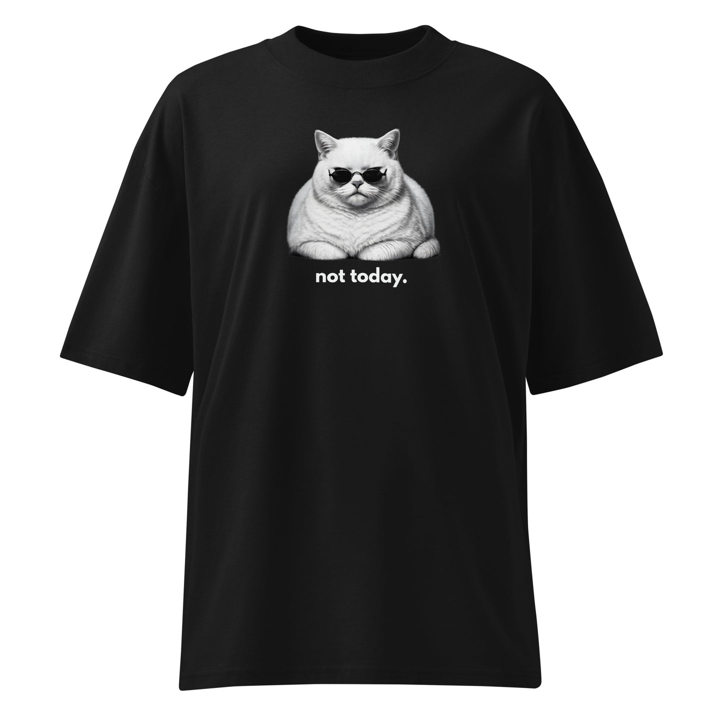 Black t-shirt with a cat graphic and 'not today.' text on a white background