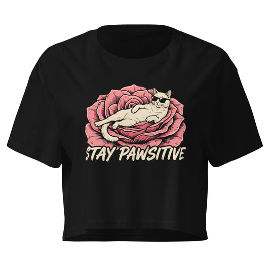 Black t-shirt with a cat graphic and 'Stay Pawsitive' text on a white background