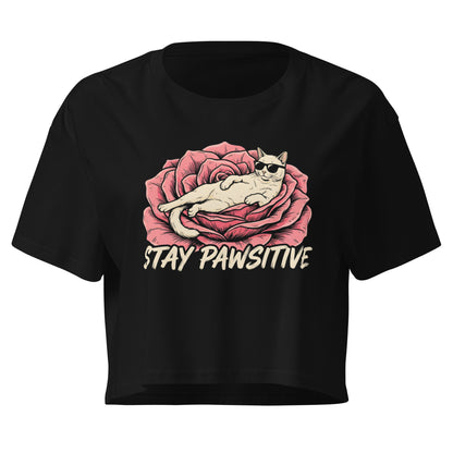 Black t-shirt with a cat graphic and 'Stay Pawsitive' text on a white background