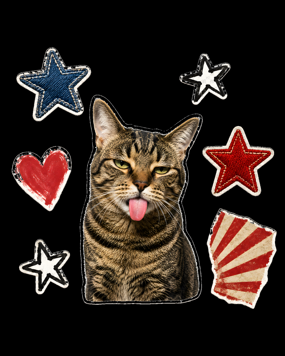Cat with stars and a heart on a black background