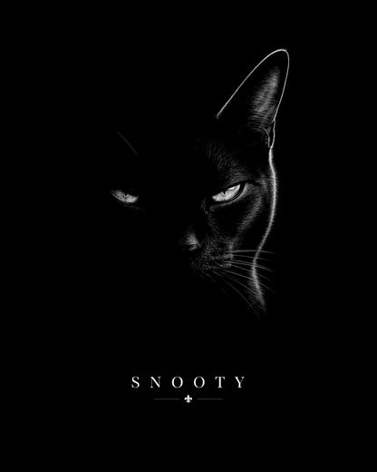 snooty design