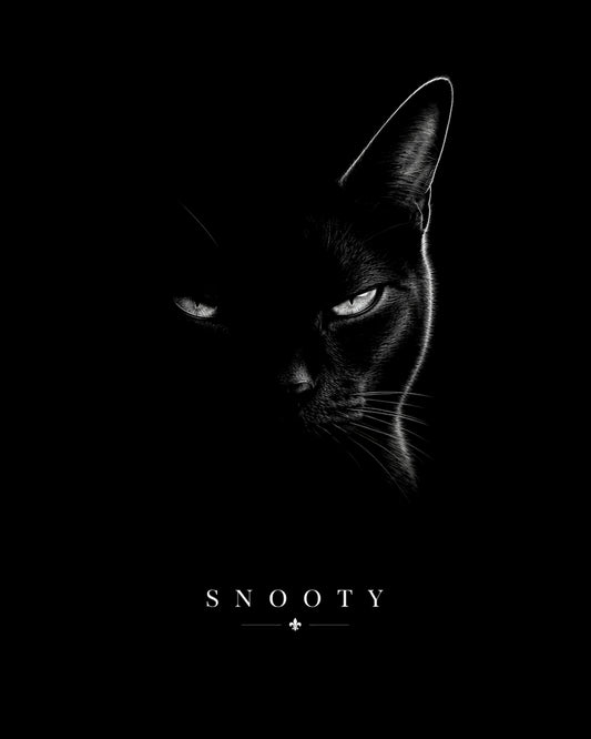 snooty design